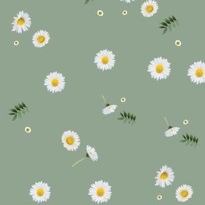 Meet your Posher, Francesca